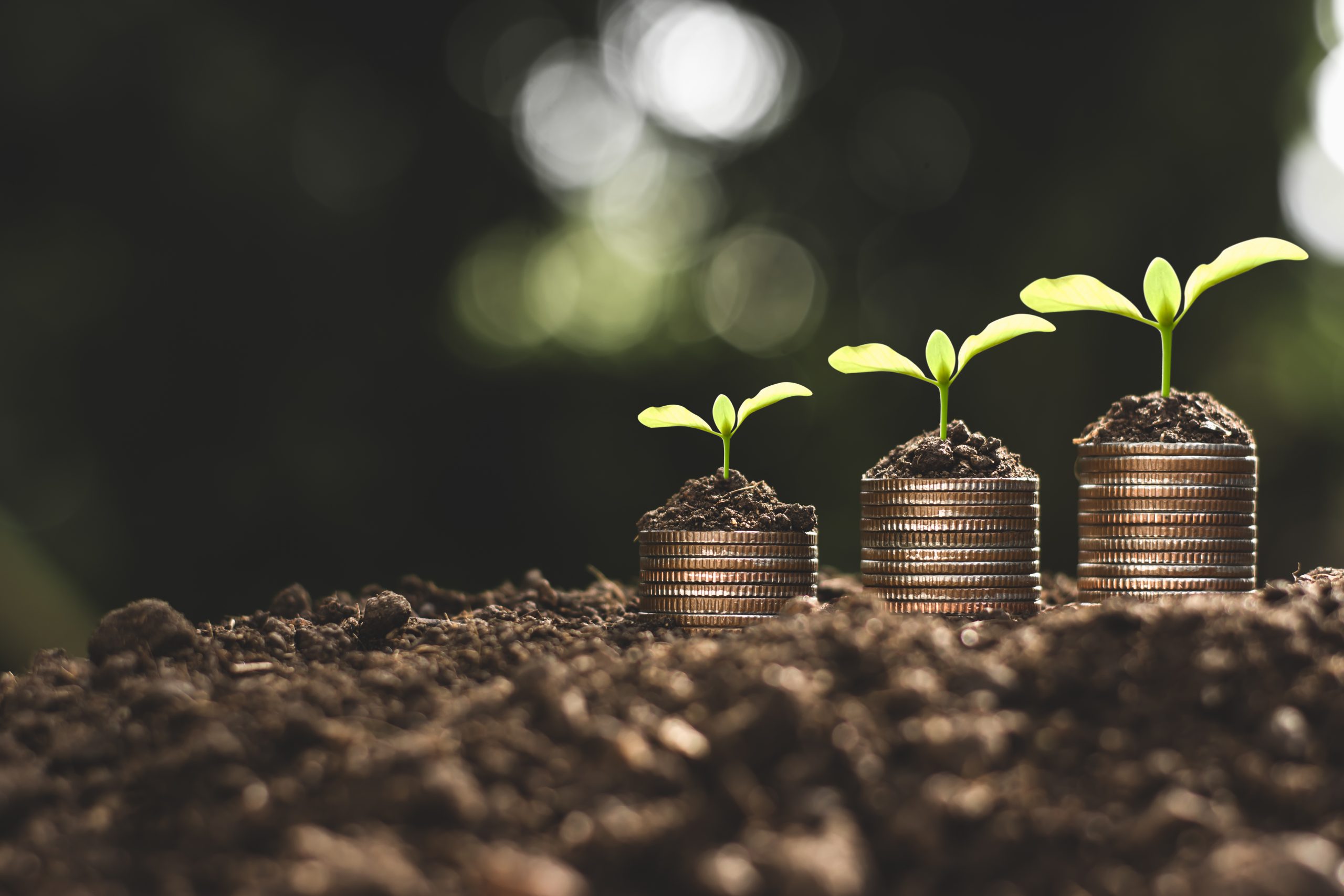 Franchising: A Strategy for Growth