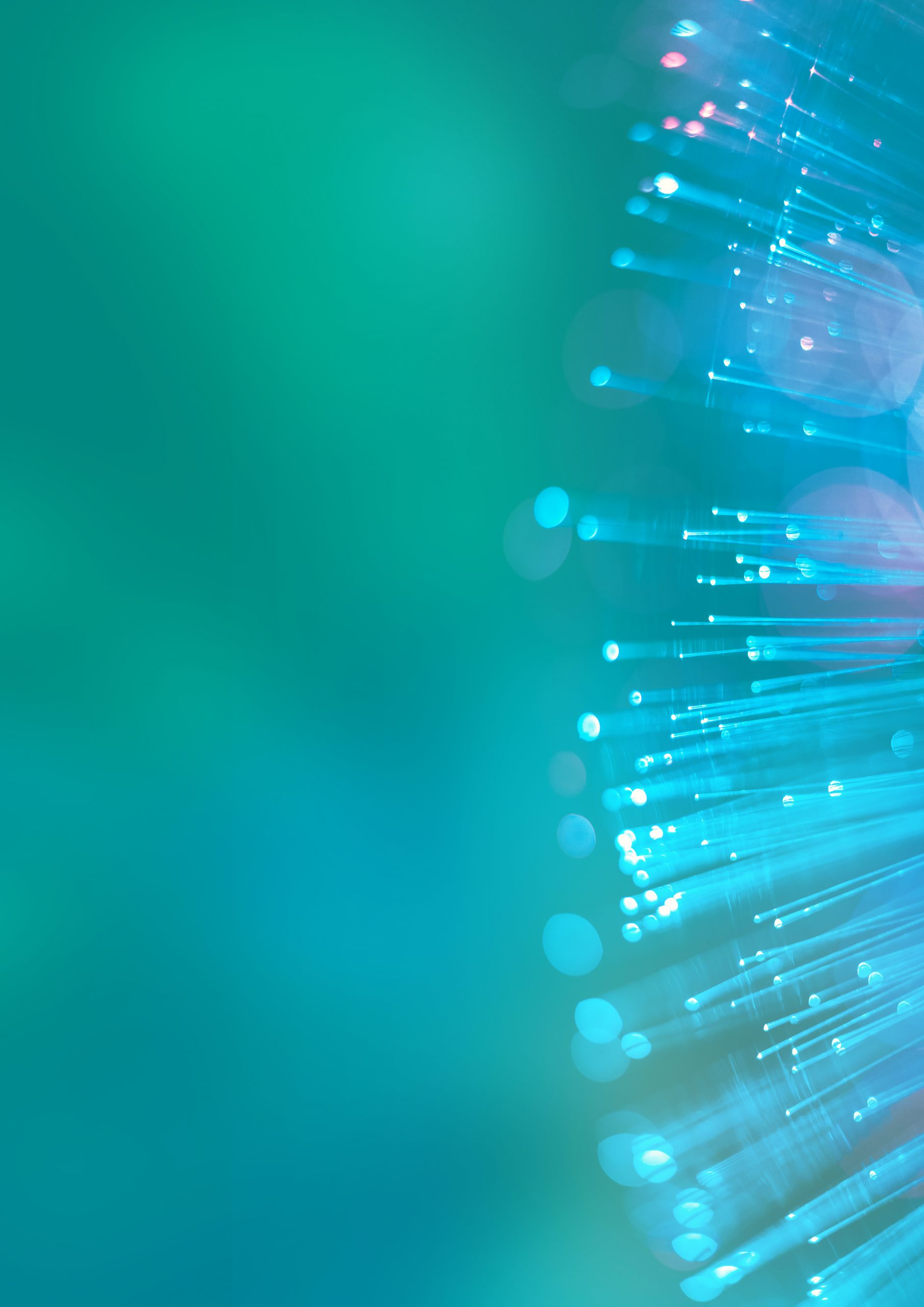 Data Management & Quality