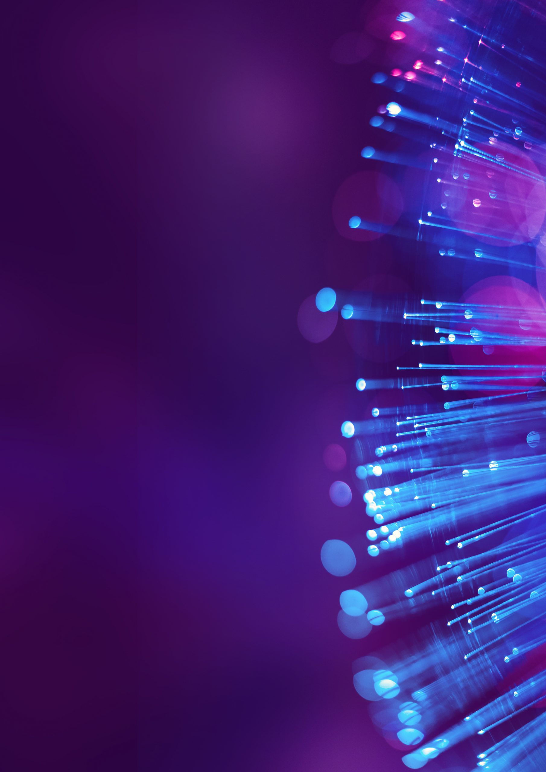 Analytics Adoption