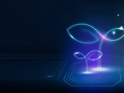 The Corporate Sustainability Reporting Directive (CSRD) in practice – How will it impact the gaming sector?